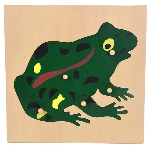 بازل الضفدع