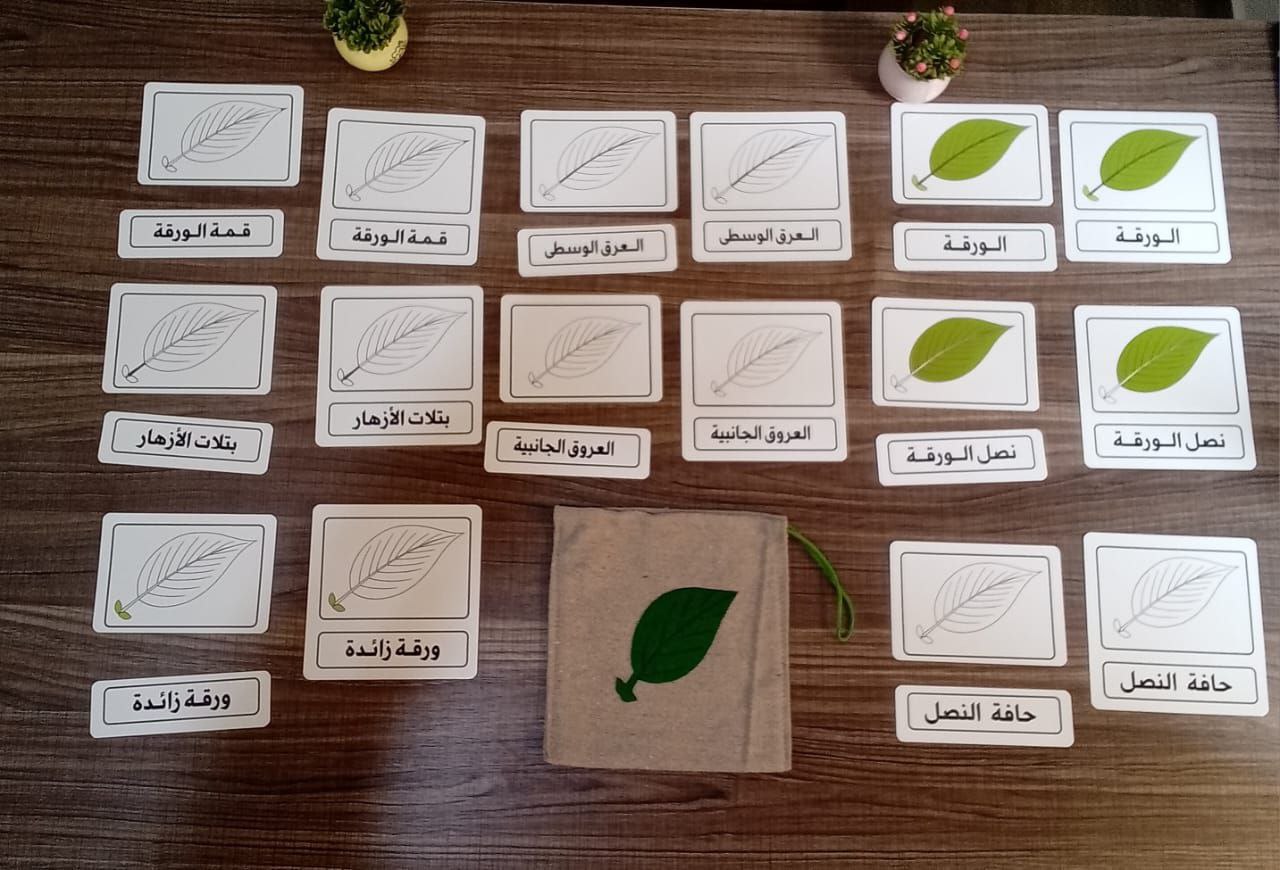 كروت ورقة شجرة وكروت امتدادات ورقة الشجرة