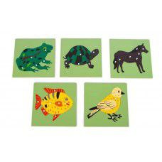 بازل علوم الحيوان