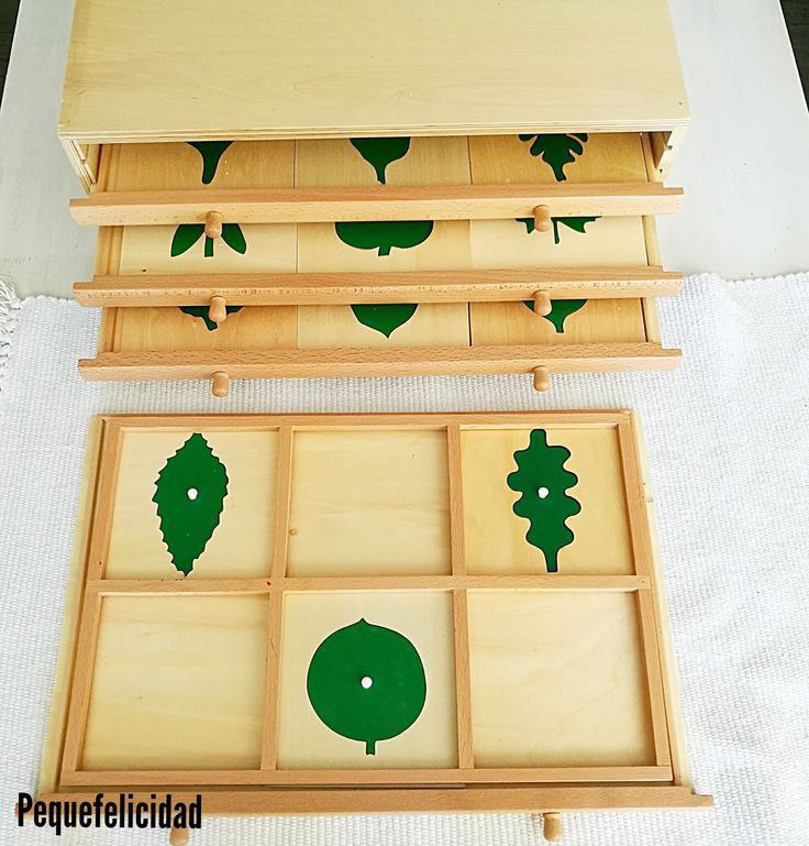 دولاب اوراق الشجر