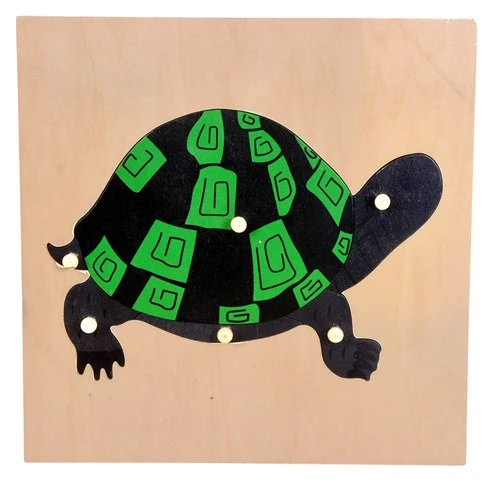 بازل السلحفاه