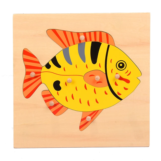 بازل السمكة